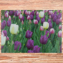 Primavera Tulip Garden Floral
