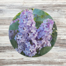 Roxo Lilac Blooms Floral