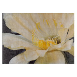 Tabuas De Cortar Charlemagne Echinopsis na floração