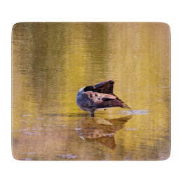 Tábuas De Cortar Ouro