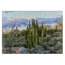 Tabuas De Cortar Scottsdale Succult Sunset