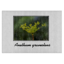 Tabuas De Corte Adelação de erva daninha