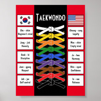 Taekwondo poster