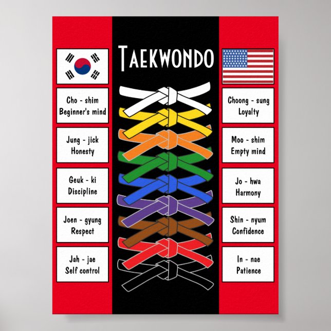 Taekwondo poster (Frente)