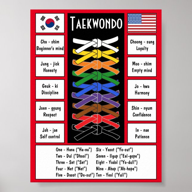 Taekwondo Poster (Frente)