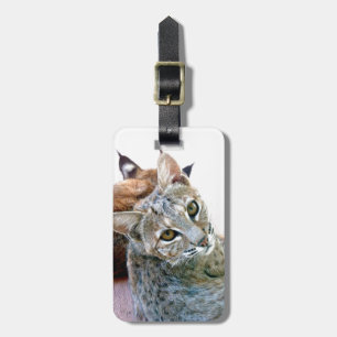 Tag de bagagem do lince do olhar fixo   de Gazely