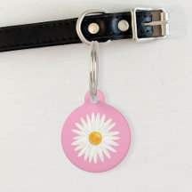 Flor de Margarida Ilustrada em Rosa com Informaçõe