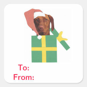 Tag do presente de Vizsla a e da etiqueta