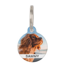 Etiqueta de ID de Pet de Foto e Nome Branco