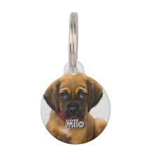 Nome e endereço do Pet