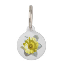 Placa de Identificação Pet Narciso Branco