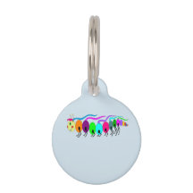 Colorida Caterpillar