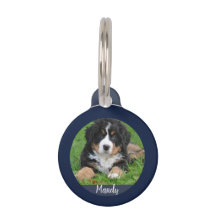 Faça com que seu nome de foto do seu próprio cão c