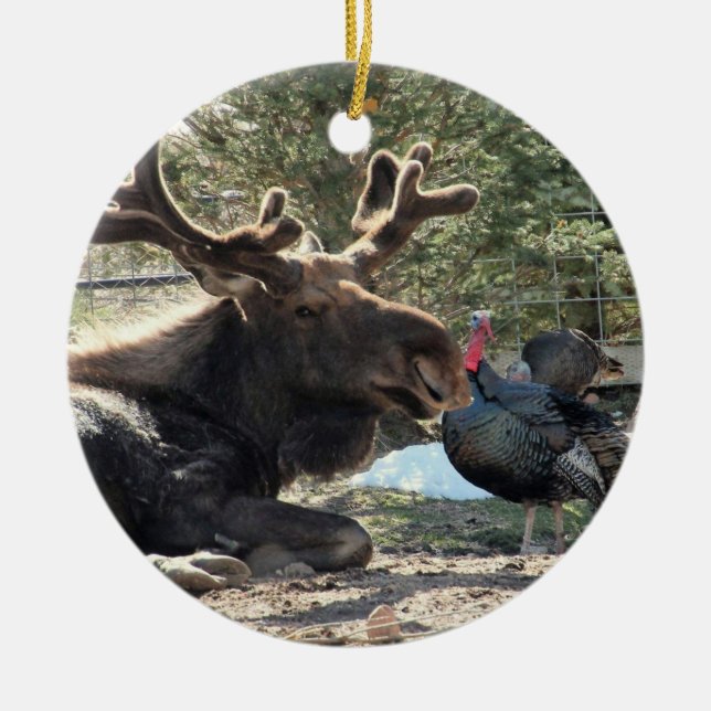 Tahoma & Eugene 2020 Cerâmica Ornamento (Frente)