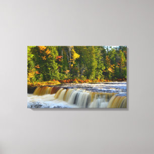 Tahquamenon Cai Canvas