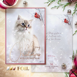 Talas de inverno, Kitten e Red Cardinal Bird em Ne