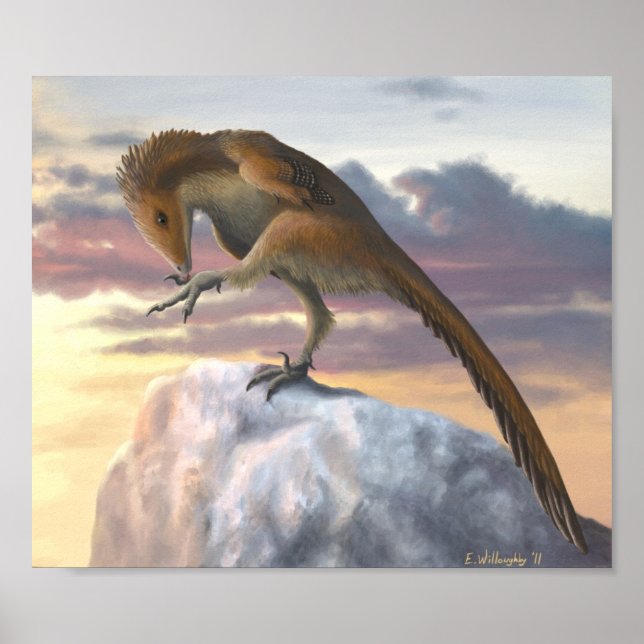 Talos Impressão (Frente)