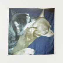 Tapeçaria Amor de Cachorrinho