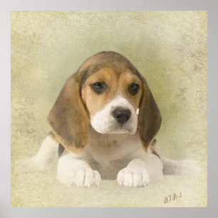 Tapeçaria Beagle Impressão em Tela Falsa Impressão