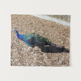 tapeçaria de Pavão Azul Indiano