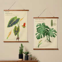 Tapestrias Botânicas - Monstera