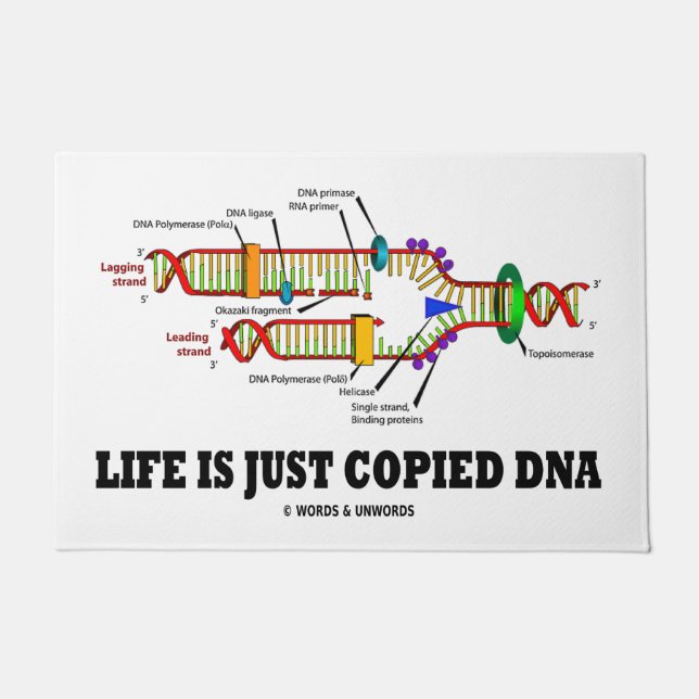 Tapete A Vida É Apenas Um Humor De Biologia Molecular De  (Frente)