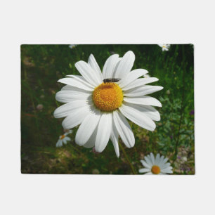 Tapete Abelha na Daisy Alaskan Summer Nature Photo