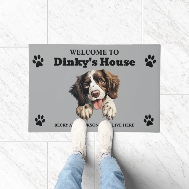 Tapete Adorável English Springer Spaniel (Interior)