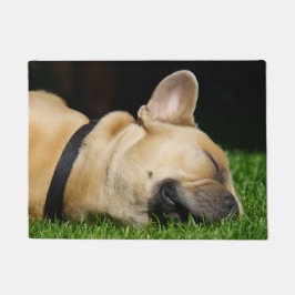 Tapete Alfombra de perro para hogar