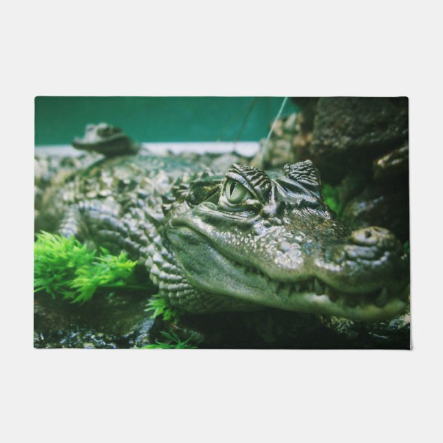 Tapete Alligador (Frente)