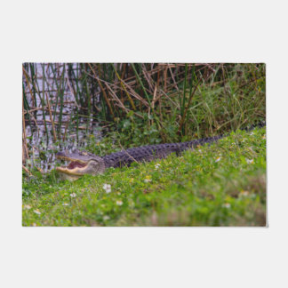 Tapete Alligator Relaxing em Viera Wetlands