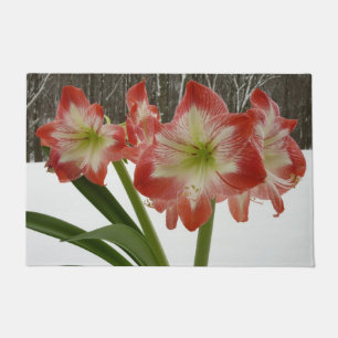 Tapete Amaryllis no Feriado Vermelho de Neve Floral de in