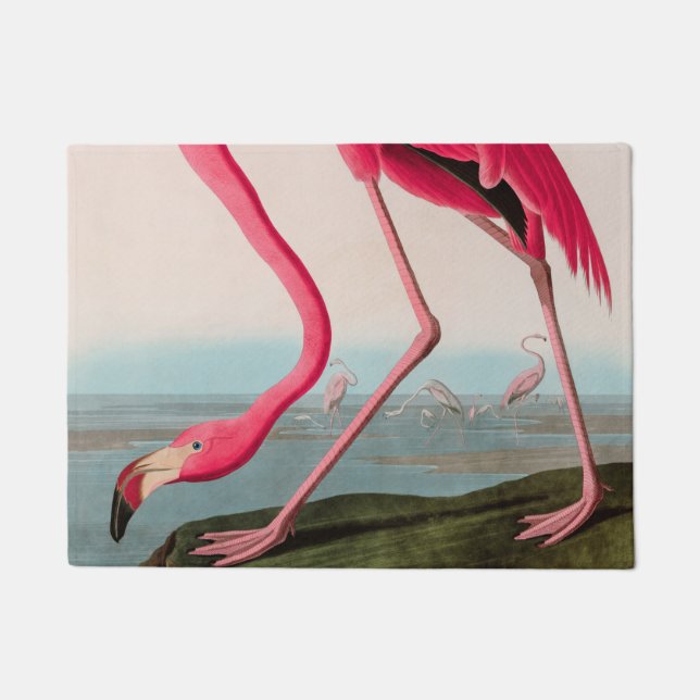 Tapete American Flamingo Birds of America Audubon Impress (Frente)