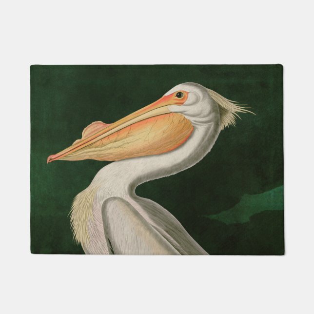 Tapete American White Pelican Birds of America Audubon (Frente)