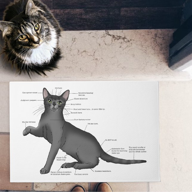 Tapete Anatomia de um Gato (Criador carregado)