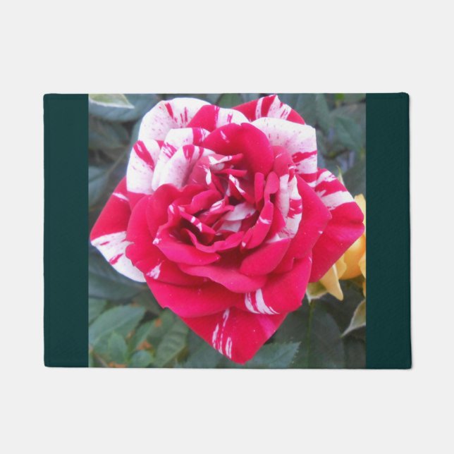 Tapete Anicia (Frente)