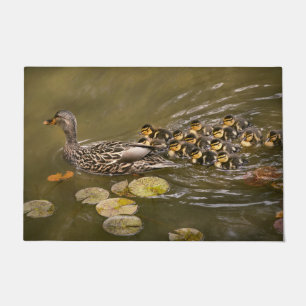 Tapete Animal - Patos - Nadar como um pato