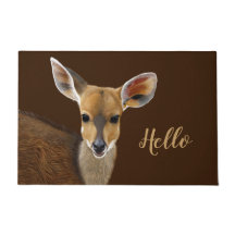 Antelope Bushbuck Young African Deer Drawing