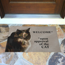 Aprovação da Gata Tortie Bem-vinda