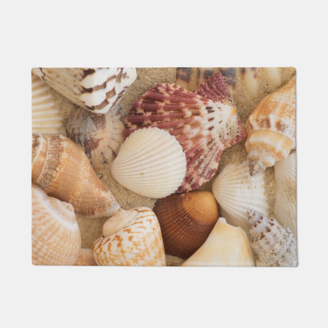 Tapete Arranjo do Seashell (Frente)