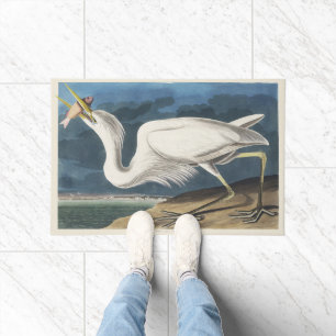 Tapete Arte de Pássaro Garça Branca Grande Audubon Vintag