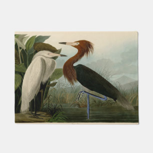 Tapete Arte de Pássaro: Gravura do Garça Roxa de Audubon: