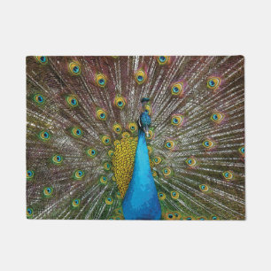 Tapete Arte do pavão em tons da jóia