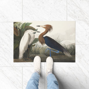 Tapete Arte Vintage de Audubon da Garça-Vermelha