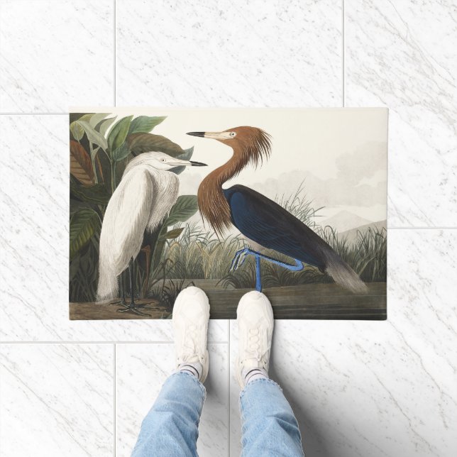 Tapete Arte Vintage de Audubon da Garça-Vermelha (Interior)