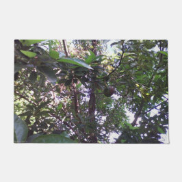 Tapete Árvore Avocado