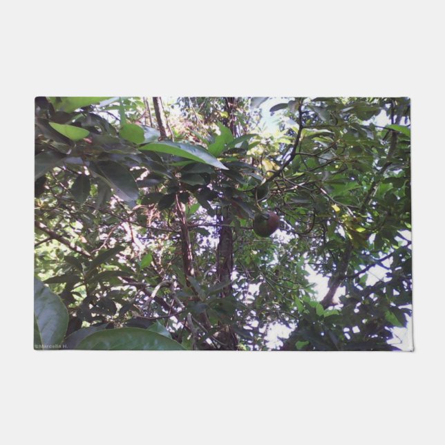 Tapete Árvore de Abacate (Frente)