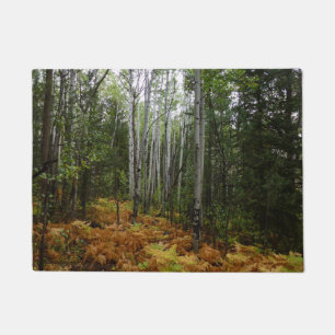 Tapete Árvores Brancas e Fall Ferns na Montanha Rochosa