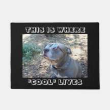 As pessoas legal refrigeram o Doormat dos cães