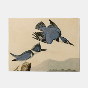 Tapete Audubon Belfisher Kingfisher Wildlife Bird